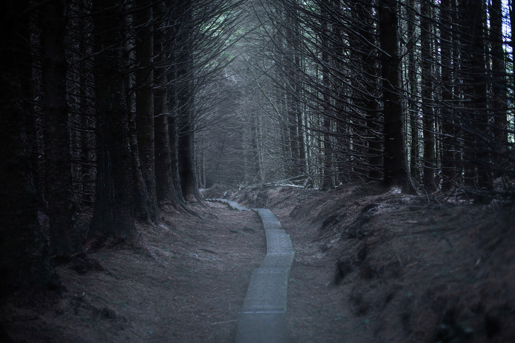 No Man's Land - Ballinastoe Woods, Ireland